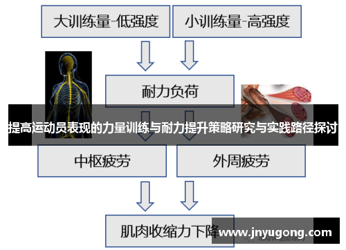 提高运动员表现的力量训练与耐力提升策略研究与实践路径探讨