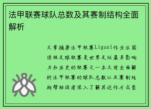 法甲联赛球队总数及其赛制结构全面解析